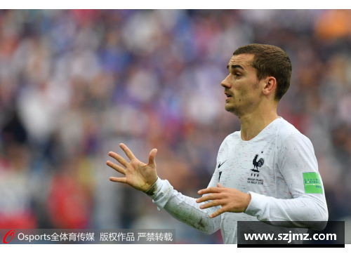 法国队球员风采：俊朗英姿闪耀世界杯