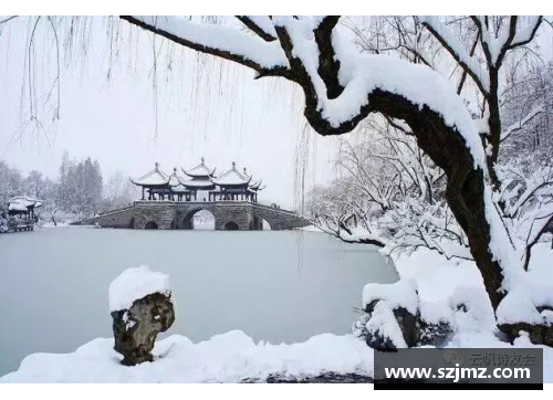 雨下江南：九球高手的传奇旅程